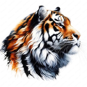 May include: A close-up of a tiger's head, with orange, black, and white stripes. The tiger is looking to the right, with its mouth closed and its eyes open. The background is white.