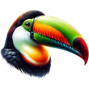 Toucan Clipart | Clipart Bundle | 10 High-Quality Designs | Wall Art | Paper Craft | Apparel | Digital Prints | Commercial Use