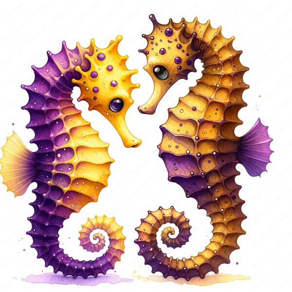 Seahorse Pair Clipart | Clipart Bundle | 10 Elegant Images | Ocean Art | Crafts | Apparel | Digital Prints | Commercial Use