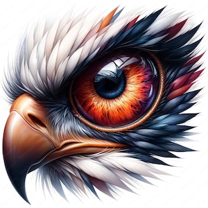 May include: A detailed illustration of an eagle's eye and beak. The eye is a vibrant mix of orange, red, and blue, with a reflective surface. Feathers in white, black, and red surround the eye, and the beak is a light brown colour.