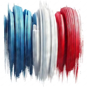 May include: Abstract artwork featuring thick brushstrokes in the colors of the French flag: blue, white, and red. The strokes are vertical and layered, creating a textured effect against a white background. The artwork evokes a sense of patriotism.