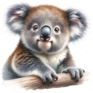 Baby Koala Clipart | Clipart Bundle | 10 High-Quality Designs | Wall Art | Paper Craft | Apparel | Digital Prints | Commercial Use