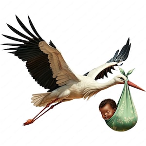 May include: A white stork with black wings flies with a green and white swaddled baby in its beak.