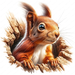 écureuil mystérieux | Lot de cliparts écureuil énigmatique | 10 modèles de haute qualité | Art animalier de la forêt | Imprimables | Utilisation commerciale
