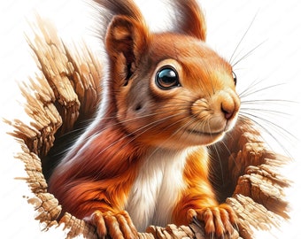 Rätselhaftes Eichhörnchen Clipart Bundle: Waldtier Kunst (digitaler Download)