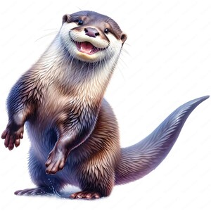 Clipart loutre | Lot de cliparts Adorable loutre | 10 modèles de haute qualité | Art animalier | Imprimables | Utilisation commerciale