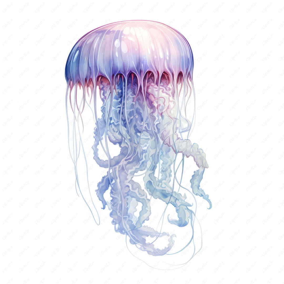 Lion's Mane Jellyfish Clipart 10 Highquality Images Etsy Australia