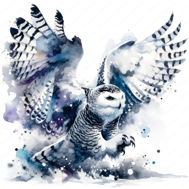 Washed Owl Majestic Snowy Owl Clipart Bundle: Wildlife Art Printables (digital ...