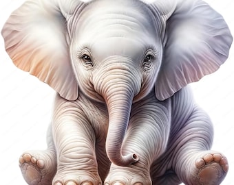 Baby Elephant Clipart: Safari Animal Art, Commercial Use (Digital Download)