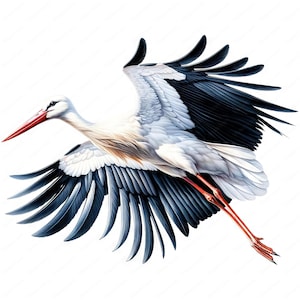 Clipart cigogne volante | Cigogne gracieuse en vol Clipart Bundle | 10 modèles de haute qualité | Art de la migration des oiseaux | Imprimables | Utilisation commerciale