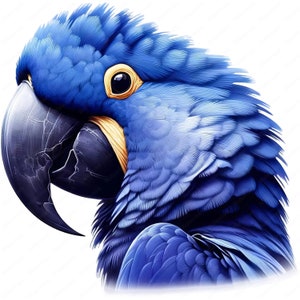 Puede incluir: Primer plano de la cabeza de una guacamaya azul y negra. El ave tiene un cuerpo azul brillante con plumas negras alrededor del pico y una franja amarilla sobre el ojo.