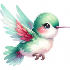Clipart Colibri | Clipart mignon | 10 modèles de haute qualité | Art mural | Créations en papier | Vêtements | Impressions numériques | Utilisation commerciale