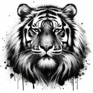 Wildlife Clipart | Majestic Tiger Clipart Bundle | 10 High-Quality Designs | Tiger Art | Printables | Commercial Use