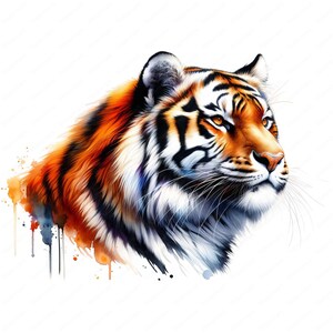 May include: A watercolor painting of a tiger's head with orange, black, and white stripes. The tiger is looking to the right and has a serious expression. The background is a white watercolor wash with splashes of orange and blue.