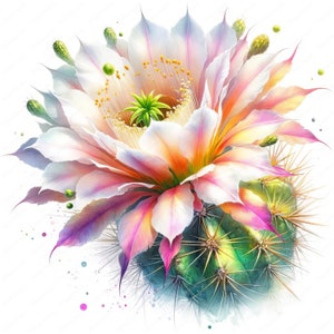 Clipart fleur de cactus | 10 modèles de haute qualité | Art mural | Créations en papier | Vêtements | Journaux indésirables | Impressions numériques | Utilisation commerciale