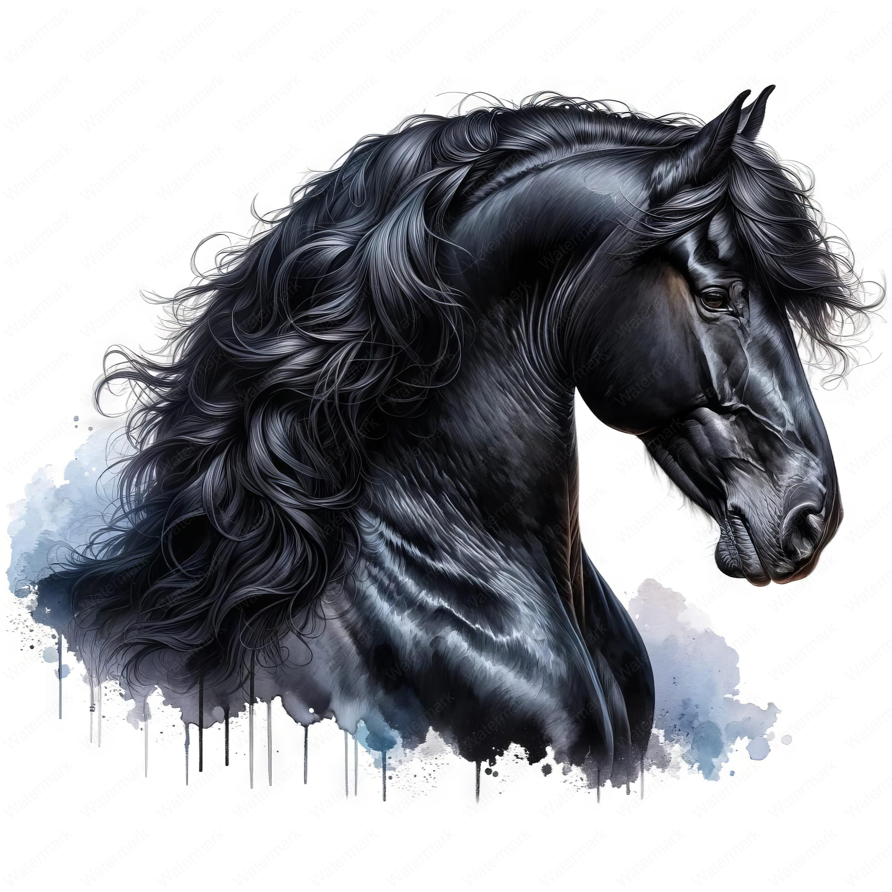 エレガントなフリージアン馬のクリップアートセット | 馬術アート