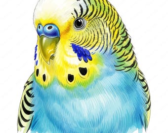 Rainbow Budgerigar Clipart, 10 PNG Designs, Watercolor Parrot Art, Instant Download, Commercial Use