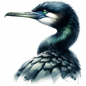 Shag Bird Clipart | Pacote Elegante de Shag Bird Clipart | 10 Designs de Alta Qualidade | Arte de Pássaros | Imprimíveis | Uso Comercial