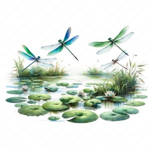 Clipart de libélulas de lagoa | Pacote de clipart de libélulas de lagoa serenas | 10 designs de alta qualidade | Arte da natureza | Imprimíveis | Uso comercial