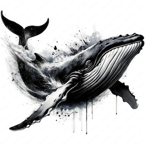 Clipart océanique | Lot de cliparts baleine gracieuse | 10 modèles de haute qualité | Art de la vie marine | Imprimables | Utilisation commerciale