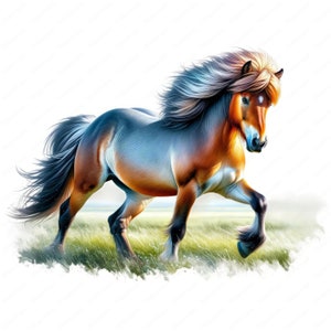 Clipart cheval islandais | Lot de cliparts cheval majestueux | 10 modèles de haute qualité | Art équestre | Imprimables | Utilisation commerciale