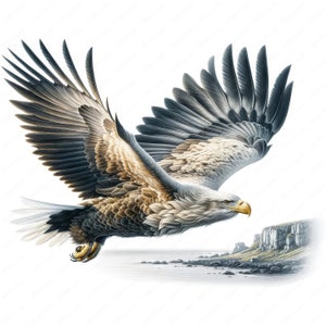 Clipart di aquila dalla coda bianca / Pacchetto di clipart di aquila maestosa / 10 design di alta qualità / Arte di uccelli rapaci / Materiali stampabili / Uso commerciale