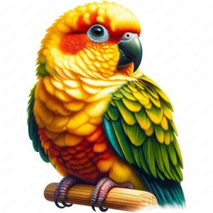 May include: A yellow, red, and green parrot with a yellow beak perched on a branch. The parrot has a bright yellow body with red and orange feathers on its head and wings. The parrot's tail feathers are green.