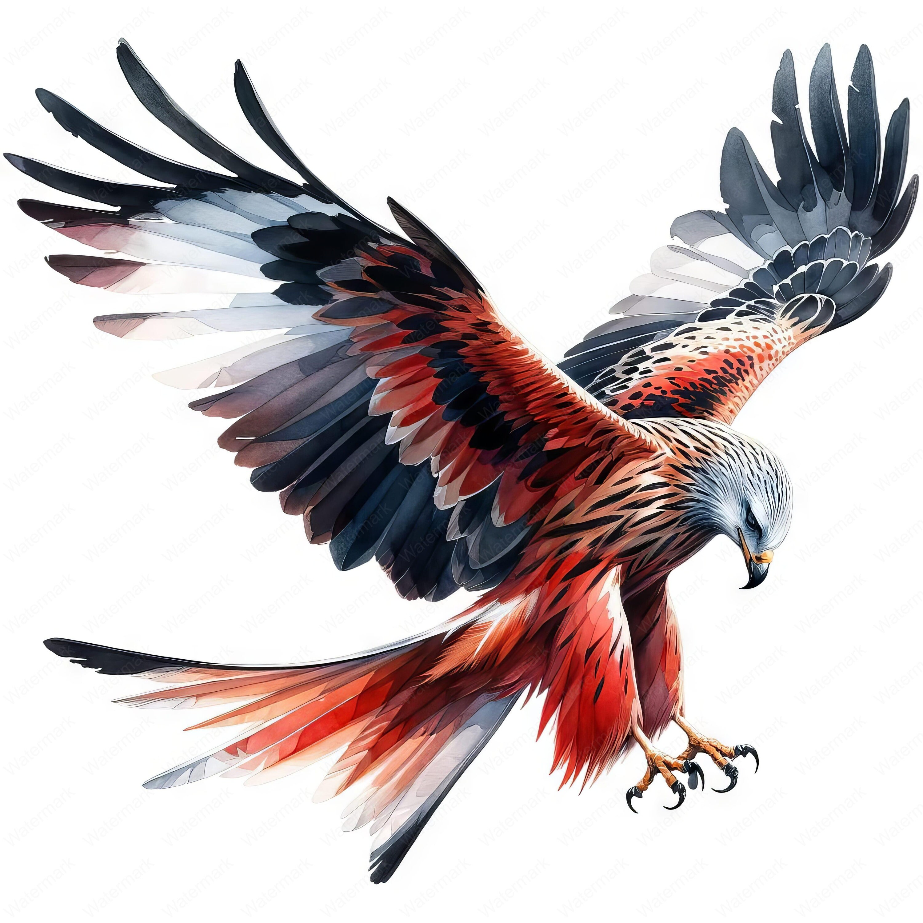 Red Kite Clipart Bundle | Bird Art Printables (digital Download) - Etsy UK