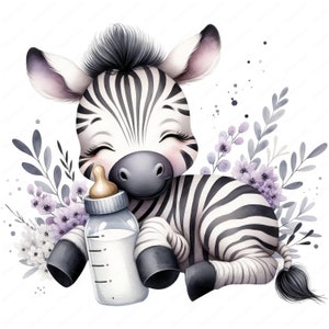 Baby Zebra Clipart | Baby Zebra With Baby Bottle Clipart Bundle | 10 ...