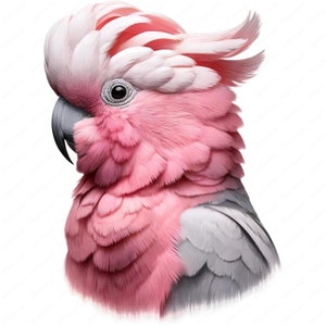 Galah Cockatoo Clipart-paket, 10 fågel-PNG- och JPG-designer