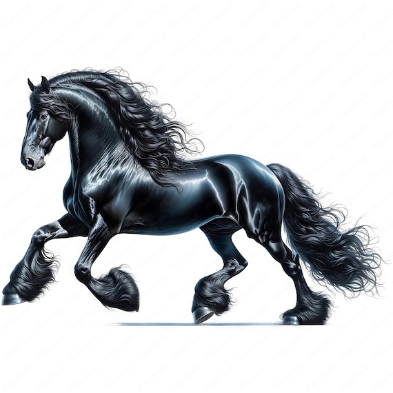 エレガントなフリージアン馬のクリップアートセット | 馬術アート