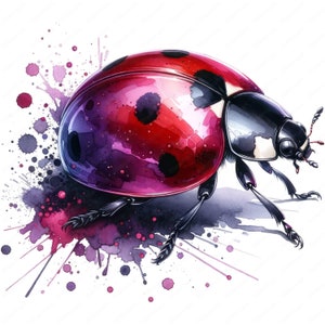 Clipart coccinelle | Lot de cliparts 1 | 10 modèles de haute qualité | Art mural | Créations en papier | Vêtements | Impressions numériques | Utilisation commerciale