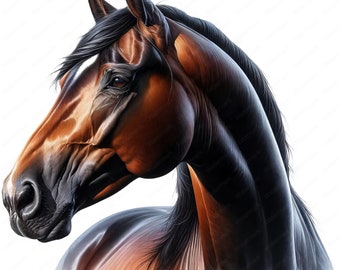 Paquete de imágenes prediseñadas de elegantes caballos American Saddlebred / Arte imprimible (Descarga digital)