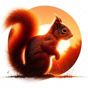 May include: A detailed illustration of a red squirrel in profile, set against a warm, orange sunset. The squirrel has a fluffy tail and is standing on a patch of grass. The background is a soft, blurred landscape.