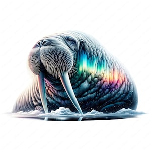 Walrus Clipart | Clipart Bundle | 10 High-Quality Designs | Wall Art | Paper Craft | Apparel | Digital Prints | Commercial Use