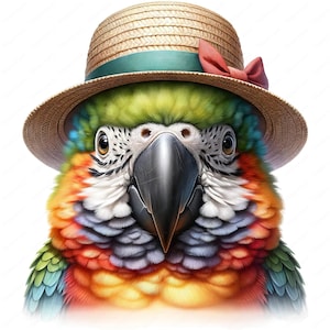 Cute Parrot Clipart | Adorable Parrot Clipart Bundle | 10 High-Quality Designs | Bird Art | Printables | Commercial Use