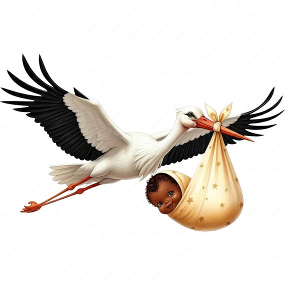 Stork Baby Clipart: Brown Baby PNG Bundle (Digital Download)