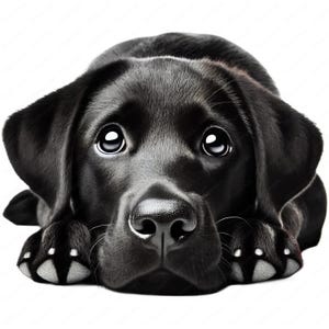 Zwarte labrador retriever-clipart | Schattige Black Lab-clipartbundel | 10 hoogwaardige ontwerpen | Hondenkunst | Afdrukbare items | Commercieel gebruik