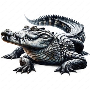 May include: A detailed illustration of a crocodile with a gray and black color scheme. The crocodile is lying on its belly with its head turned to the side and its mouth slightly open, revealing sharp teeth. The crocodile's scales are visible and textured.