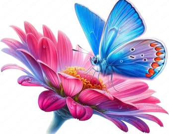 Pode incluir: Uma borboleta azul com marcas laranja e pretas nas asas está pousada em uma flor rosa com centro amarelo. A flor tem gotas de orvalho em suas pétalas.