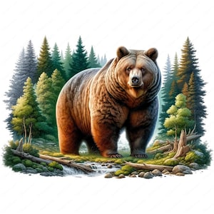 Brown Bear Clipart | Pacote Majestic Brown Bear Clipart | 10 designs de alta qualidade | Wilderness Art | Imprimíveis | Uso comercial