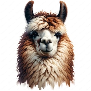 Imágenes prediseñadas de llamas / Paquete de imágenes prediseñadas de llamas divertidas / 10 diseños de alta calidad / Arte animal / Imprimibles / Uso comercial