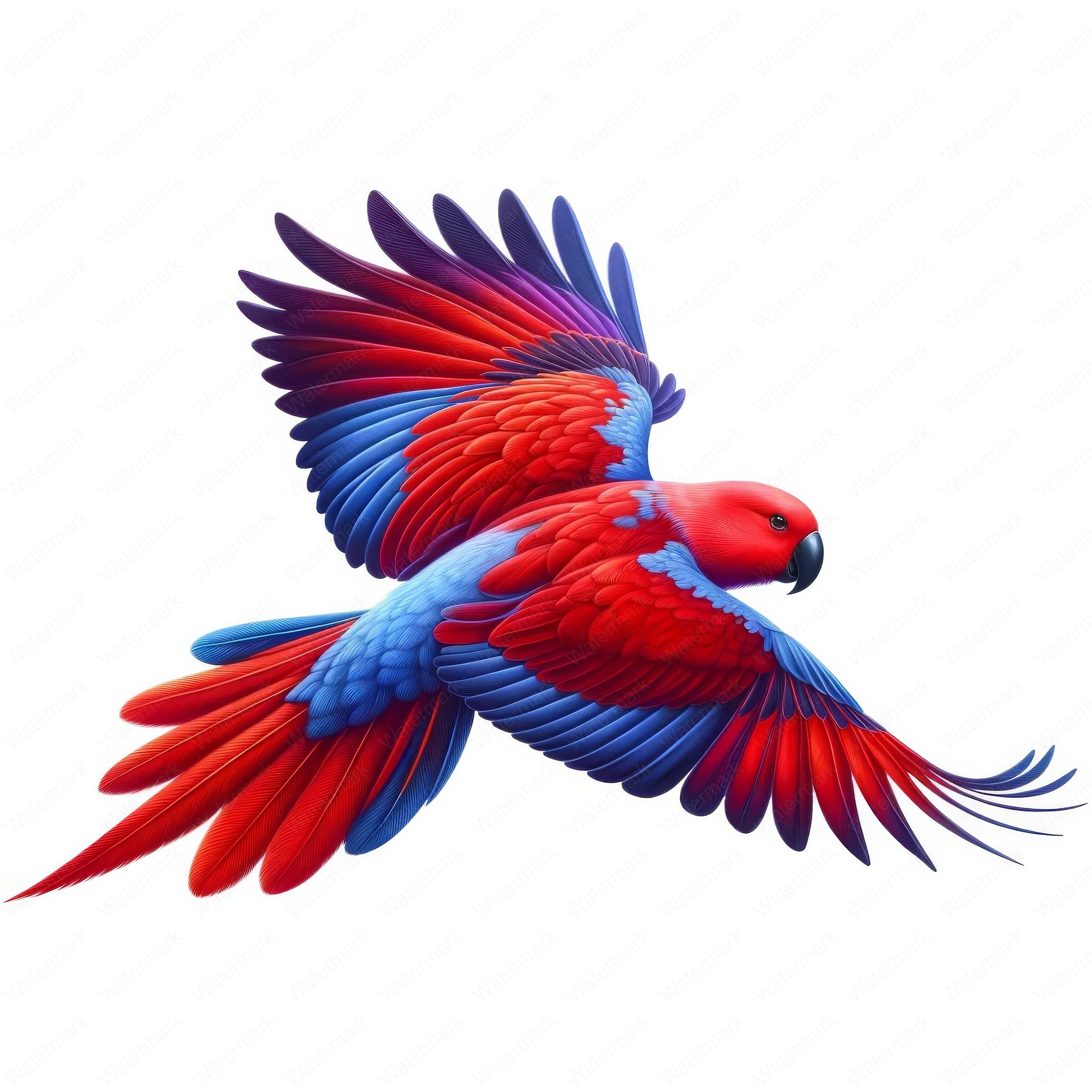 Female Eclectus Clipart: 10 Radiant Exotic Bird Designs (digital ...
