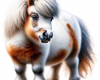 Shetland Pony Clipart Bundle: Equestrian Art Printables (Digital Download)