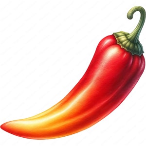 Groenten Clipart | Realistische aquarel png-bundel | 10 ontwerpen van hoge kwaliteit | Ambachtelijk en commercieel gebruik
