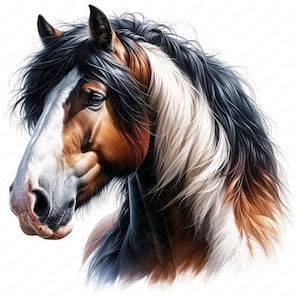 Shire Pferde Clipart | Majestätisches Shire Horse Clipart Bundle | 10 hochwertige Designs | Reiterkunst | Drucksachen | Kommerzielle Nutzung