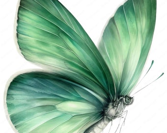 May include: A green butterfly with delicate wings and a detailed body. The butterfly is in flight with its wings spread wide.