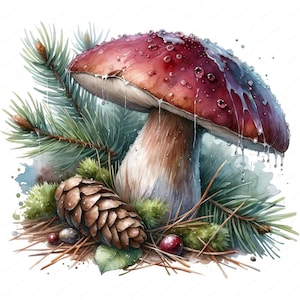 Paddenstoel-clipart | 10 hoogwaardige ontwerpen | Schimmelskunst | Paddestoelillustraties | Digitale afdrukken | Commercieel gebruik