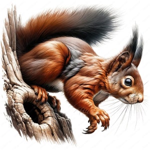 Mysterious Squirrel Clipart Enigmatic Squirrel Clipart Bundle 10