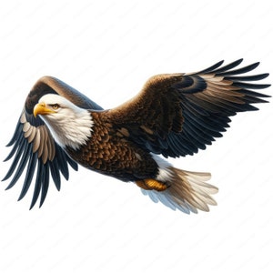Águia americana voadora Clipart | Pacote de clipart de águia americana majestosa | 10 designs de alta qualidade | Arte de ave de rapina | Imprimíveis | Uso comercial